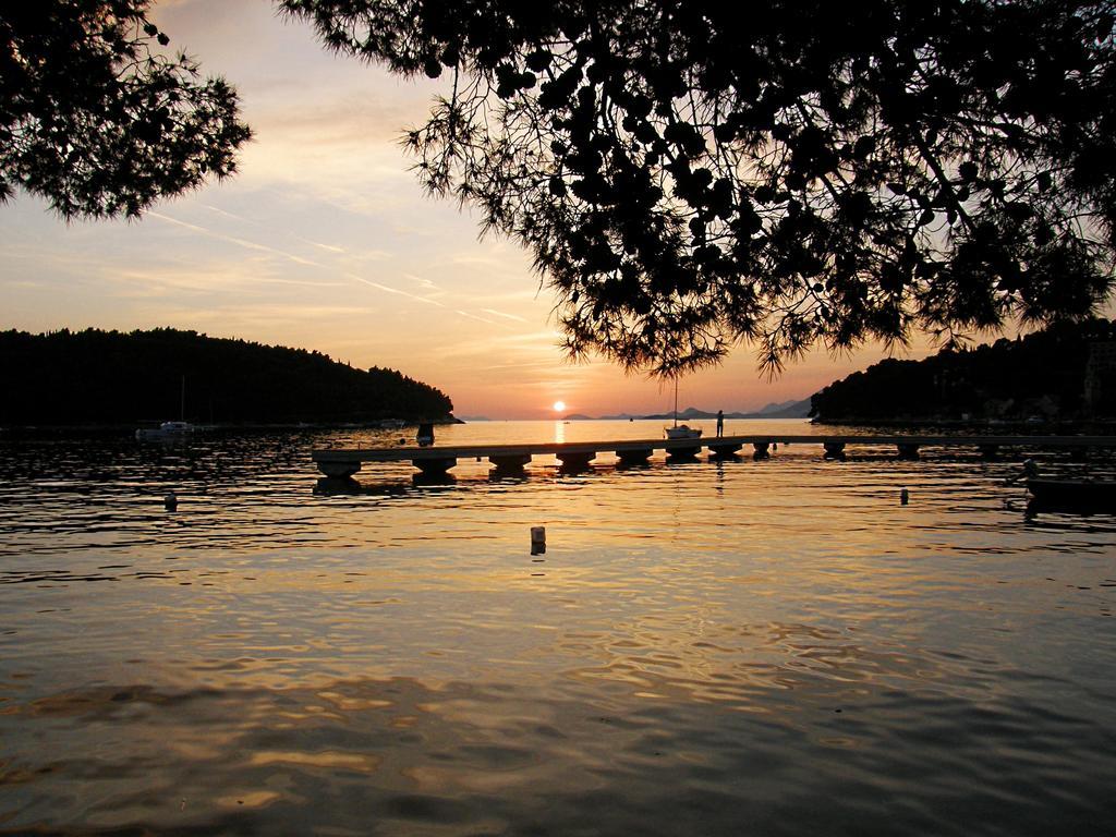 Fenix Two Bedroom Apartments Cavtat Zewnętrze zdjęcie